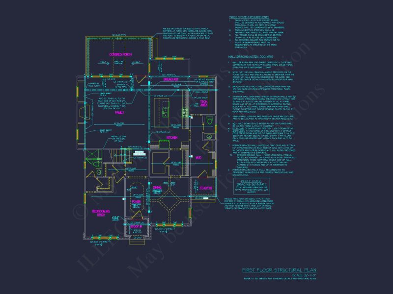 Custom house Plan with 3 Floors, CAD Blueprint, and Designs