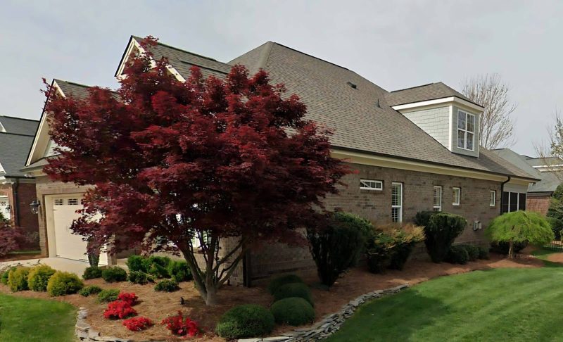 Spacious house Design with 4 Beds, Open Floor, & CAD Blueprint