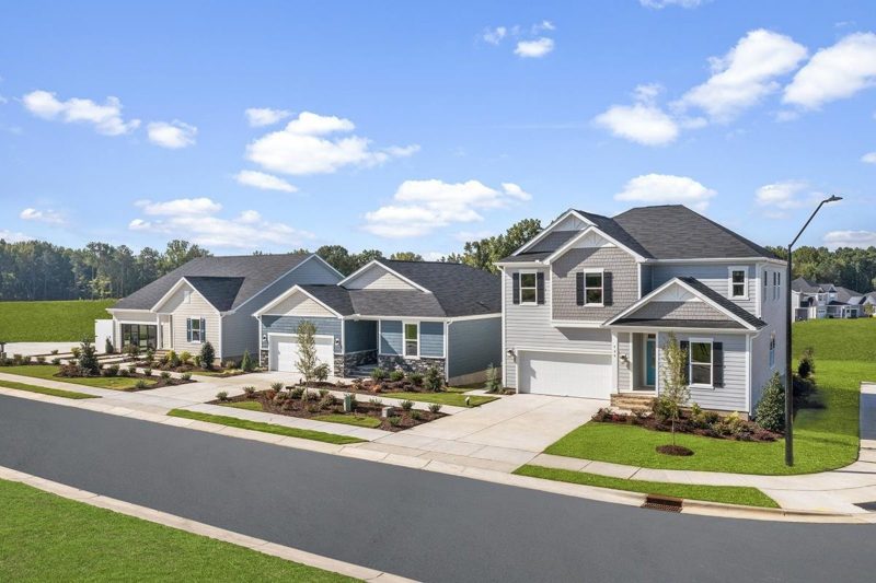 Traditional house Design with Blueprints and CAD Floor Plans