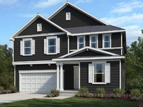Traditional house Design with Blueprints and CAD Floor Plans